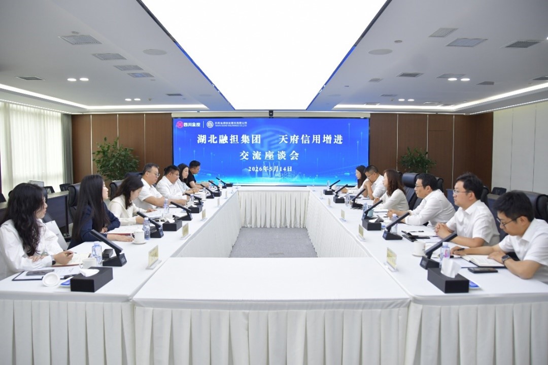 天府信用增进与湖北融担集团举行交流座谈